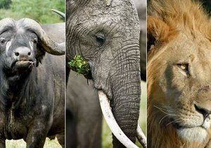 Anti-Poaching Calls Attention - Gansbaai Daily News